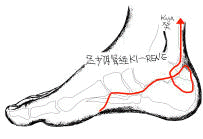 Immagine di un meridiano sul piede